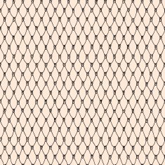 Lace seamless pattern N62