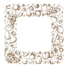 Square Frame of Fruits