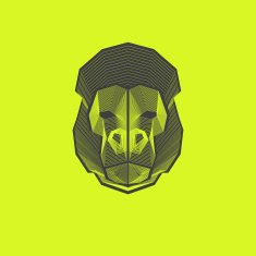 Geometric Lines - Gorilla Design N2