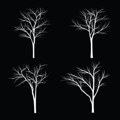Trees with dead branch N3