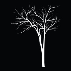 Trees with dead branch N13