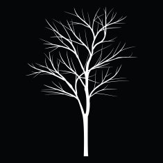 Trees with dead branch N15