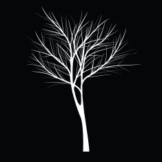 Trees with dead branch N16