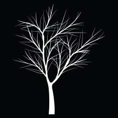 Trees with dead branch N17