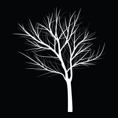 Trees with dead branch N18