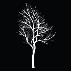 Trees with dead branch N19