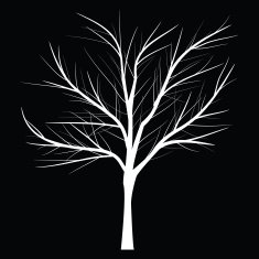 Trees with dead branch N20