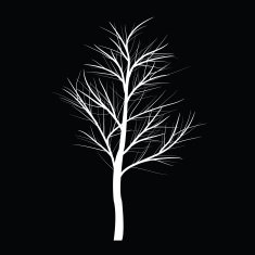 Trees with dead branch N22