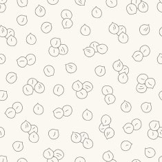 Seamless pattern with macadamia nuts
