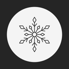 snowflake line icon N4