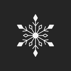snowflake icon N12