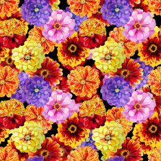 Watercolor zinnia pattern