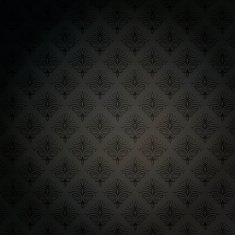 Seamless damask wallpaper N74