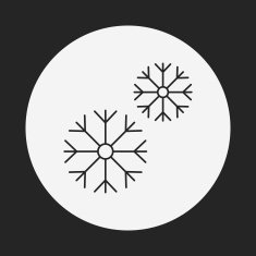 snowflake line icon N8