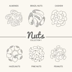 Almonds brazil nuts cashew hazelnuts pine nuts and peanuts