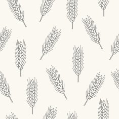 Seamless pattern with wheat