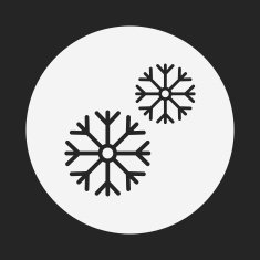 snowflake icon N17