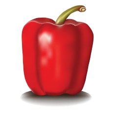 Red big fresh realistic pepper