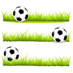 Soccer ball on the grass in different variants