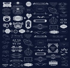 Set of calligraphic elements for design N21