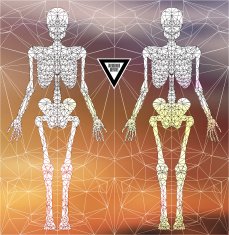 Abstract polygonal skeleton N8
