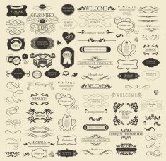 Set of calligraphic elements for design N34