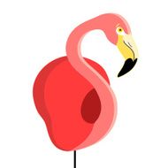 portrait of a flamingo