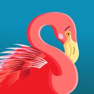 portrait of a flamingo N2