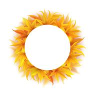 Round frame with autumn leaves N3