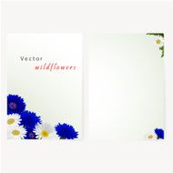 Template card with flowers camomile and cornflowers