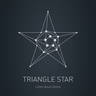 Polygonal Star Modern stylish logo Design element N2