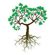 Tree Roots and Green Leafs Vector Illustration N2