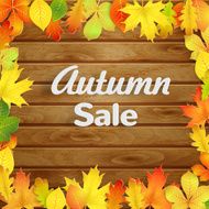Autumn sale background