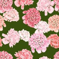 patttern of the peonies
