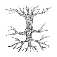 Ornate bare tree trunk with roots
