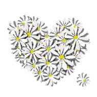 Colorful floral heart for your design N2
