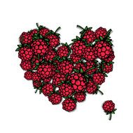 Love raspberry Heart sketch for your design
