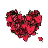 Berries heart sketch for your design N2