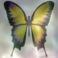Softly rendered image of butterfly pastel colors on smoke background