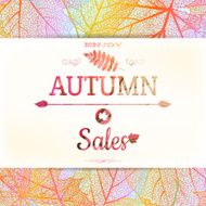 Autumn sale background EPS 10 N2