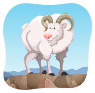 White goat N2