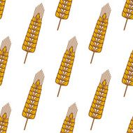 Wheat ears with ripe grains seamless pattern