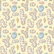 Beach treasures Corals shells and pebbles N2