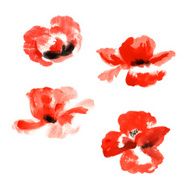 Collection of watercolor poppy flowers N4