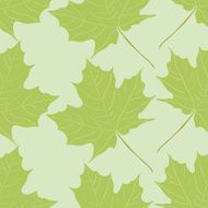 deciduous background