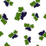 Seamless Pattern of Blackcurrant