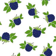 Seamless Pattern of Blackberry