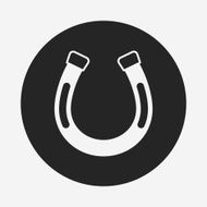saddle icon N2