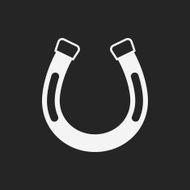 saddle icon N3