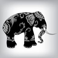 elephant001